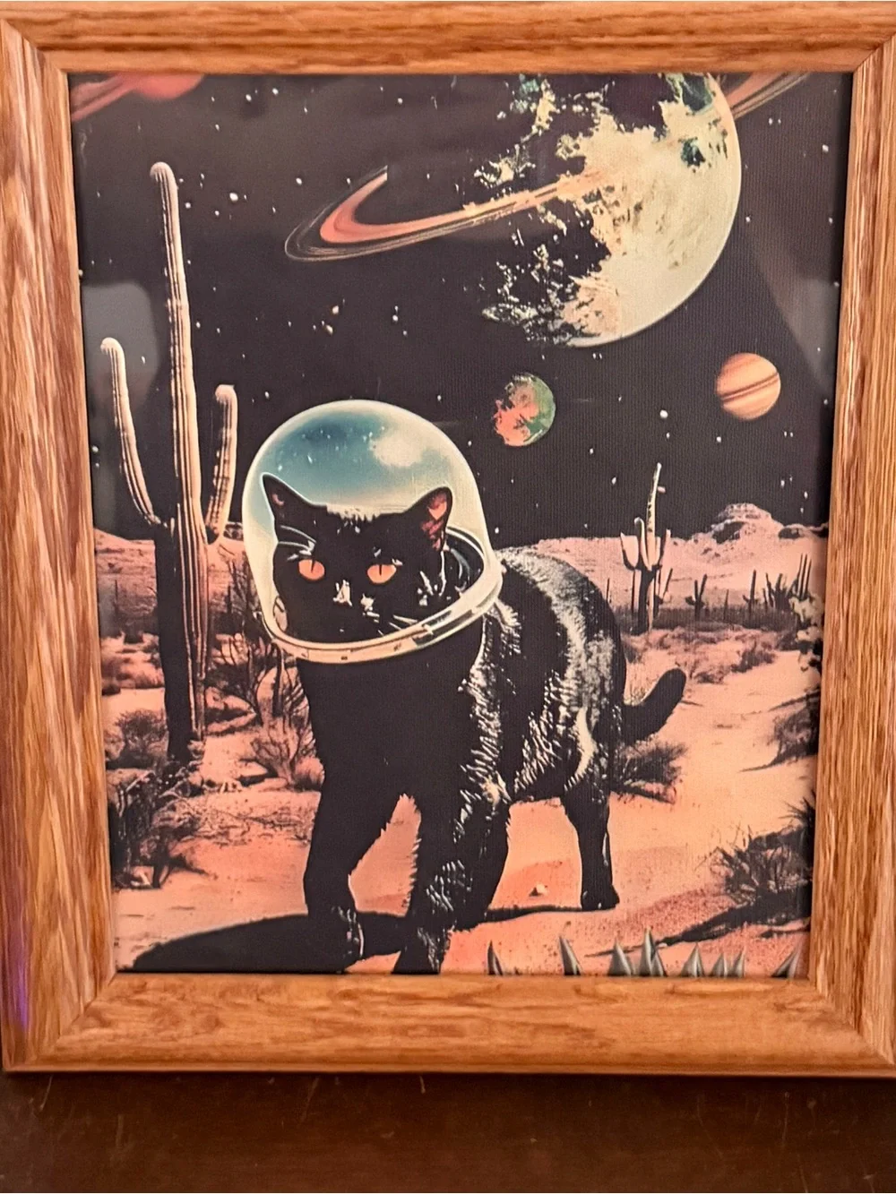 Black Astronaut Cat Vintage Style Canvas Print Desert Cactus Wood Framed Art